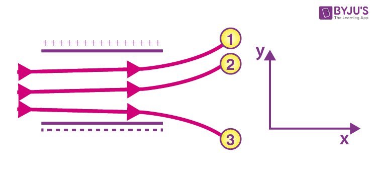 NCERT Solutions for Class 12 Physics Chapter 1 Electric Charges and Fields Question 14