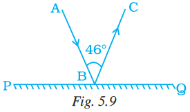 NCERT Exemplar Class 7 Maths Solutions Chapter 5 Image 2