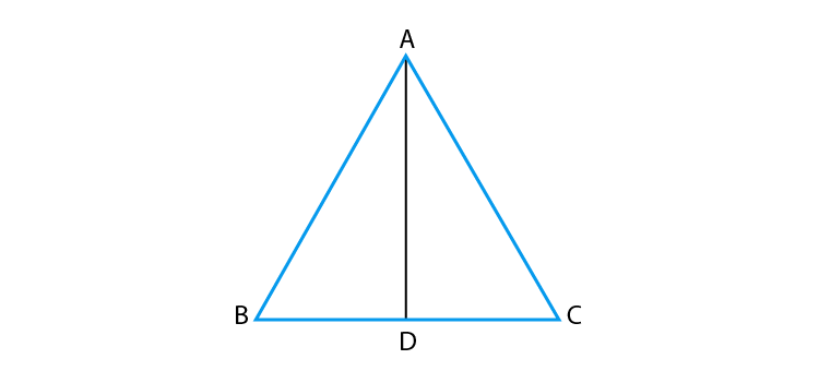 NCERT Exemplar Solutions Class 10 Maths Chapter 6 Ex. 6.3-10