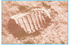 NCERT Solutions for Class 5 English Robinson Crusoe Discovers a Footprint - 1