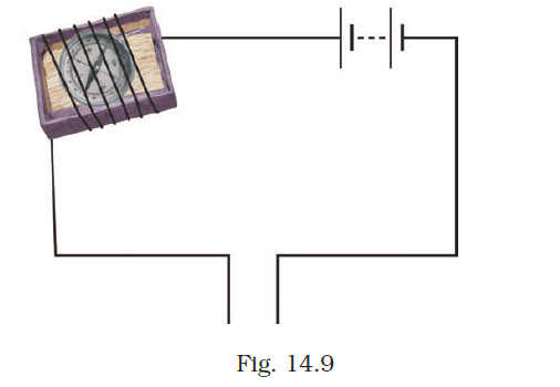 NCERT Exemplar Class 8 Science chapter 14 Solutions fig 12