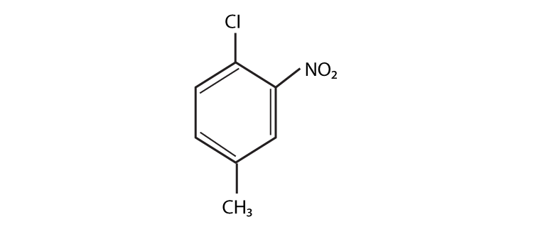 NCERT Exemplar Solutions for Class 11 Chemistry Chapter 12 Organic Chemistry Some Basic Principles and Techniques-2