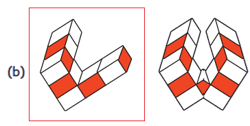 NCERT Solutions For Class 5 Maths Chapter 5 Image 12