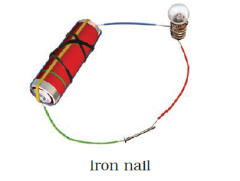 NCERT Exemplar Class 8 Science chapter 14 Solutions fig 7
